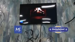 Barkefellers Lobby TV