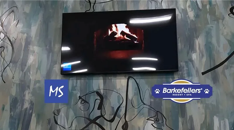 Bark Lobby TV