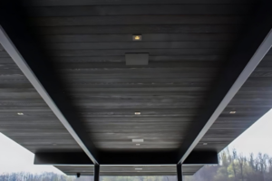 Outdoor Lighting and Speakers