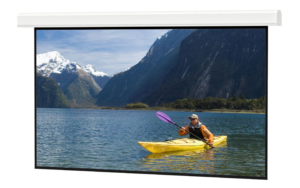 Da-Lite Screen