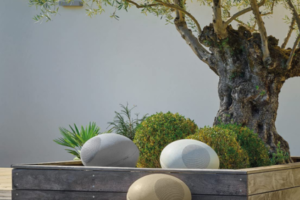 Stone Like Outdoor Speakers in 3 Colors